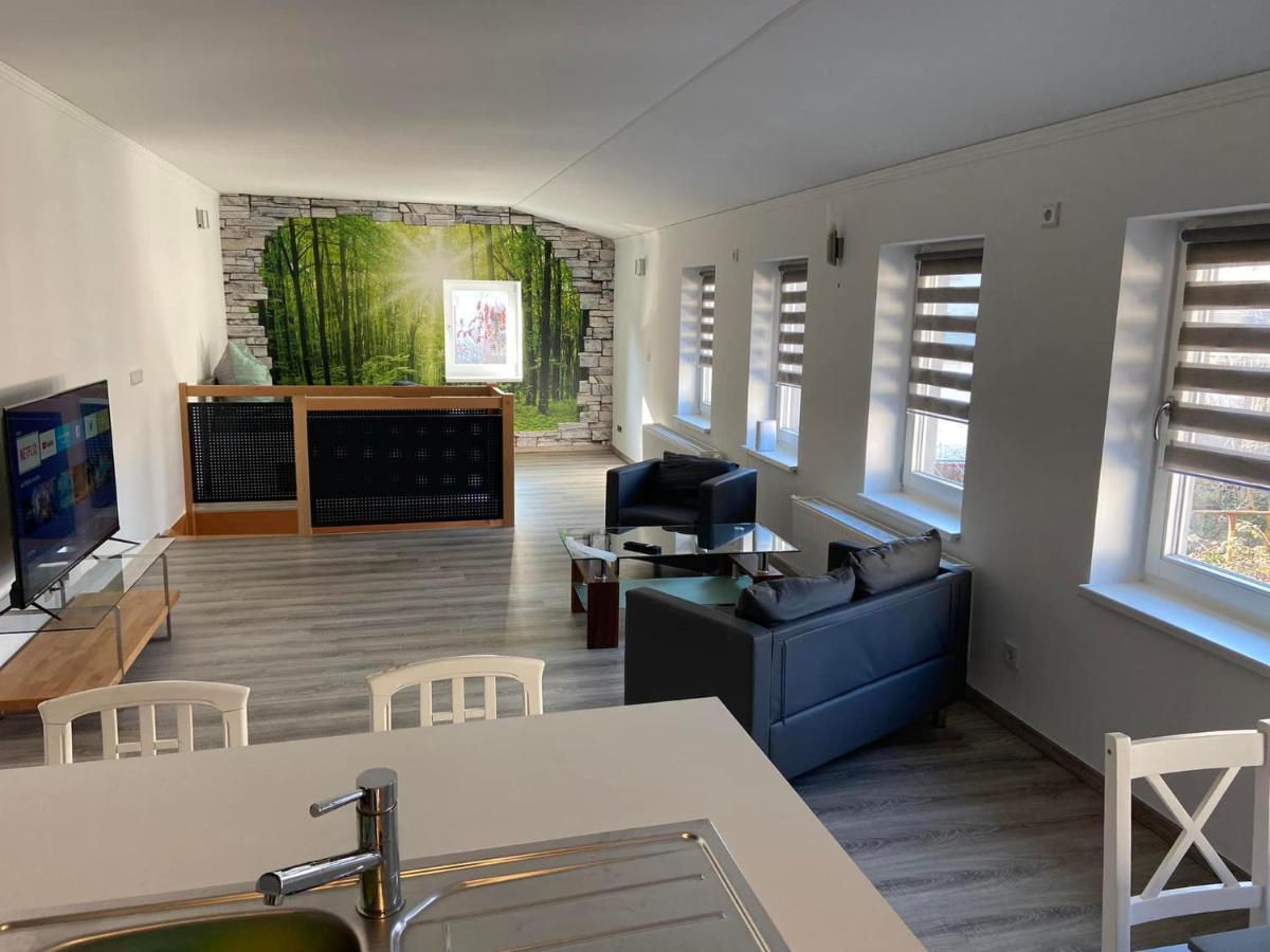 Hainichen Wohnung Lukas المظهر الخارجي الصورة
